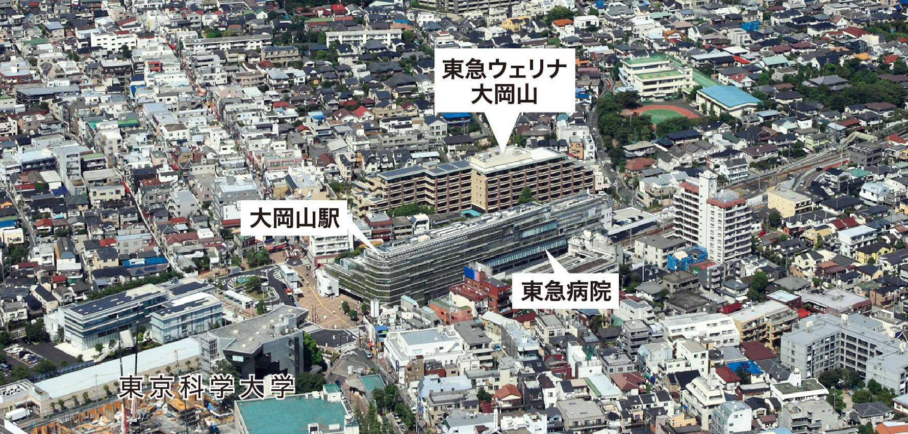 東急ウェリナ大岡山 アクセスの説明図