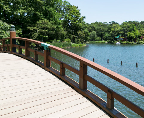 洗足池公園の写真