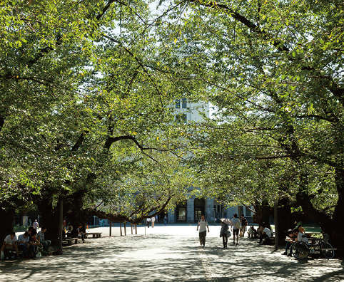 東京工業大学キャンパスの写真